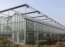 預(yù)防大雪壓塌及大棚溫室除雪方法大集合！